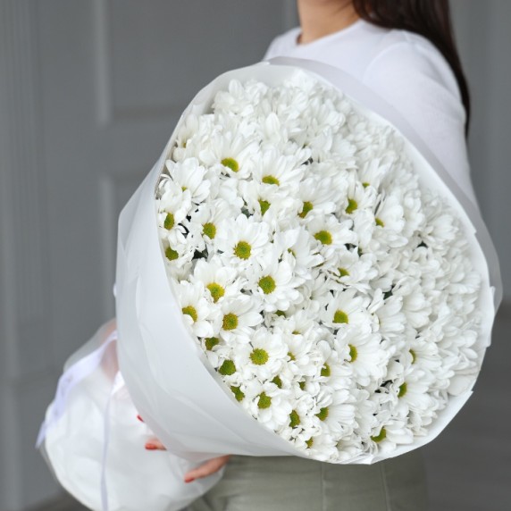 21 хризантема ромашка — фото товара