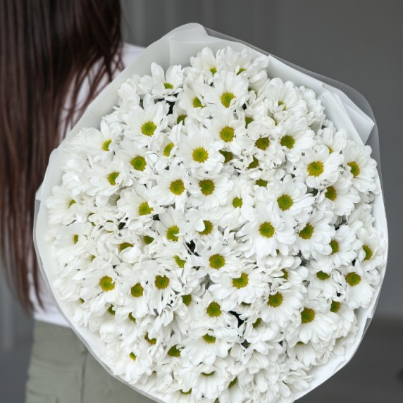 21 хризантема ромашка — фото товара