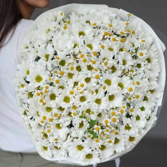 21 хризантема с ромашками — фото товара