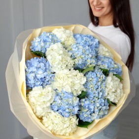 15 гортензий микс